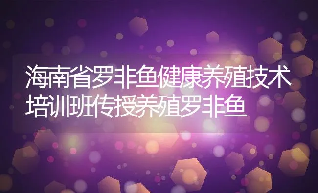 海南省罗非鱼健康养殖技术培训班传授养殖罗非鱼 | 动物养殖饲料