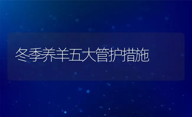 冬季养羊五大管护措施 | 动物养殖饲料