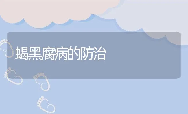 蝎黑腐病的防治 | 动物养殖学堂