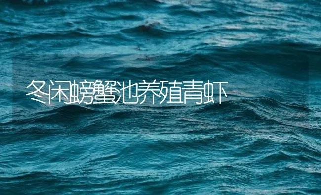 冬闲螃蟹池养殖青虾 | 海水养殖技术