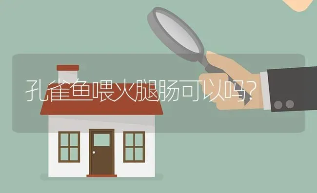 孔雀鱼喂火腿肠可以吗？ | 鱼类宠物饲养