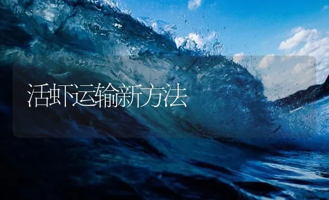 活虾运输新方法 | 海水养殖技术