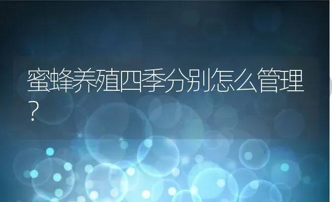 蜜蜂养殖四季分别怎么管理？ | 动物养殖百科