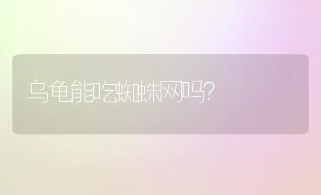 乌龟能吃蜘蛛网吗？ | 动物养殖问答