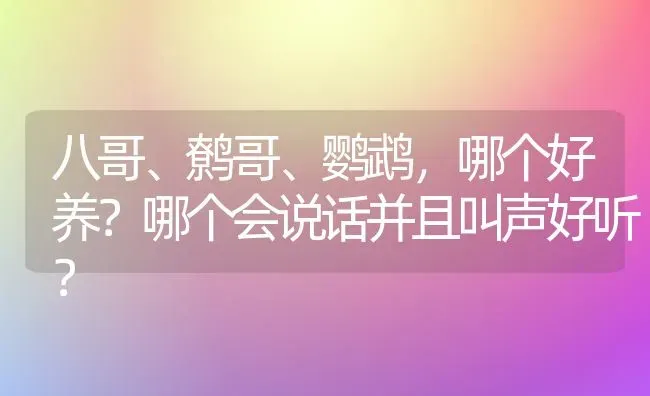 八哥、鹩哥、鹦鹉，哪个好养？哪个会说话并且叫声好听？ | 动物养殖问答