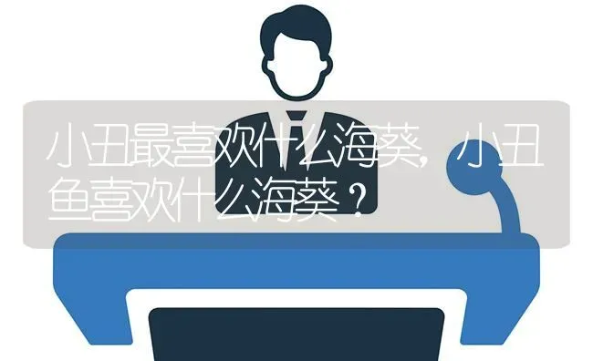 小丑最喜欢什么海葵，小丑鱼喜欢什么海葵？ | 鱼类宠物饲养