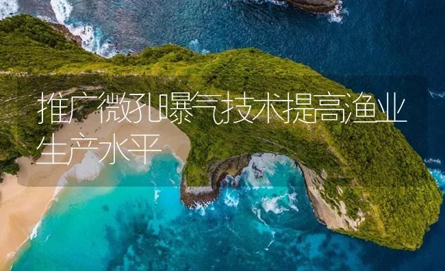 推广微孔曝气技术提高渔业生产水平 | 海水养殖技术