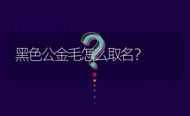 黑色公金毛怎么取名？ | 动物养殖问答