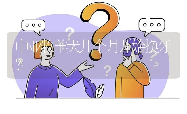 中亚牧羊犬几个月开始换牙？ | 动物养殖问答