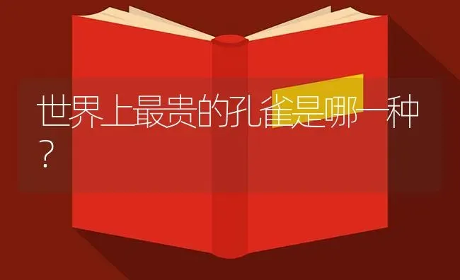 世界上最贵的孔雀是哪一种？ | 鱼类宠物饲养