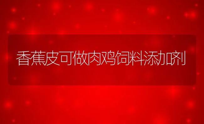 香蕉皮可做肉鸡饲料添加剂 | 动物养殖学堂