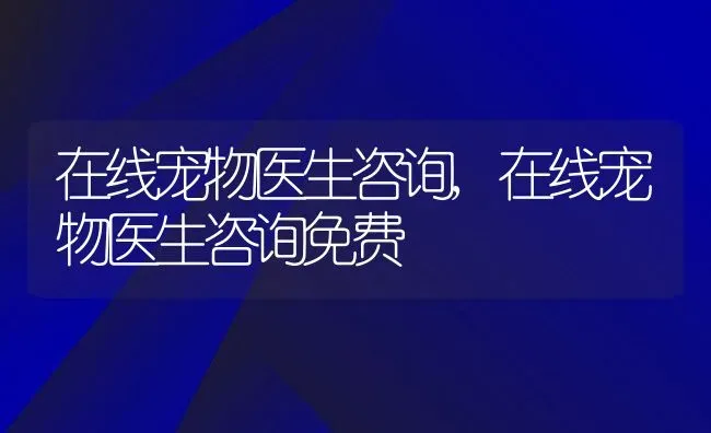 在线宠物医生咨询,在线宠物医生咨询免费 | 宠物百科知识