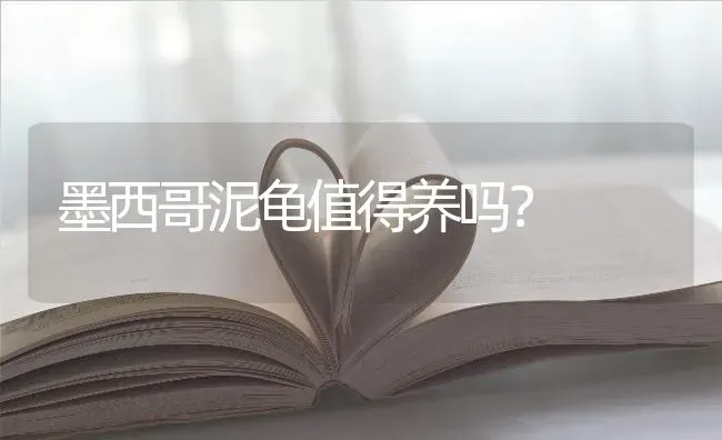 养串串狗一个月消费多少？ | 动物养殖问答