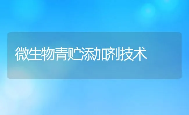 微生物青贮添加剂技术 | 动物养殖饲料