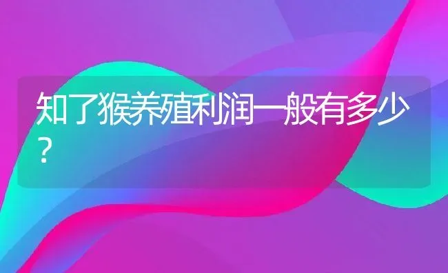 知了猴养殖利润一般有多少？ | 动物养殖百科