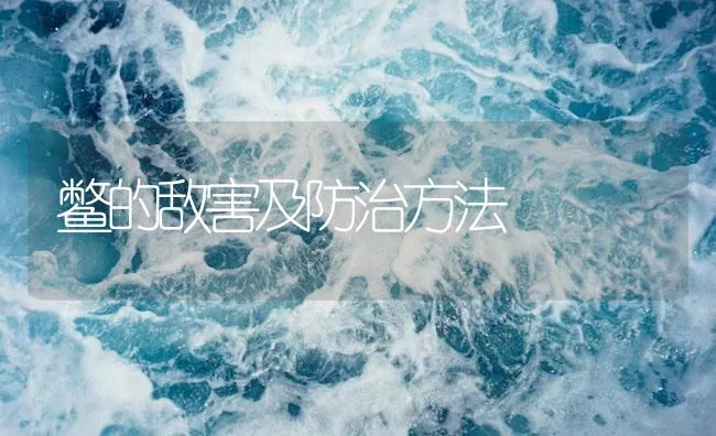 鳖的敌害及防治方法 | 海水养殖技术