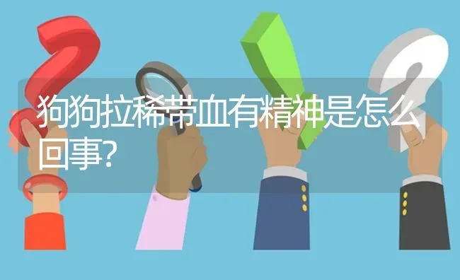 狗狗拉稀带血有精神是怎么回事？ | 动物养殖问答