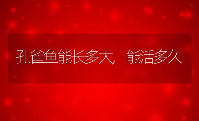 孔雀鱼能长多大,能活多久 | 宠物百科知识