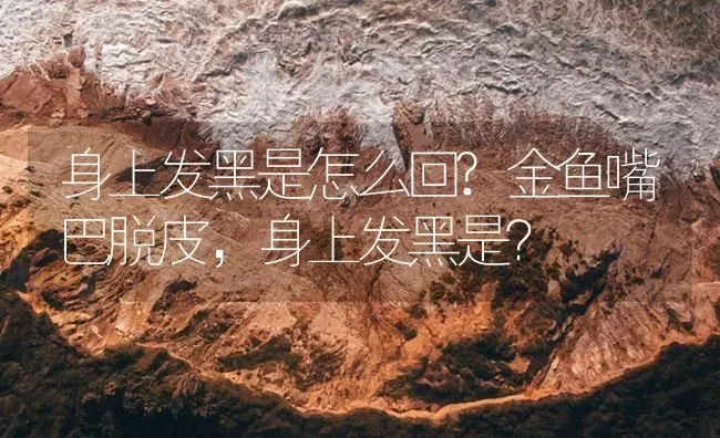身上发黑是怎么回?金鱼嘴巴脱皮，身上发黑是？ | 鱼类宠物饲养