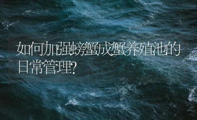 如何加强螃蟹成蟹养殖池的日常管理？ | 海水养殖技术