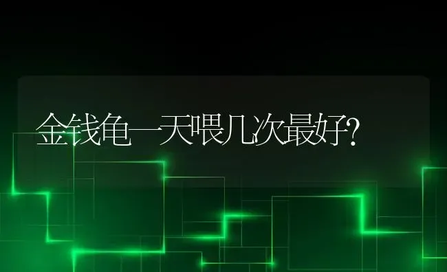 如何选一只合适的狗狗送给父母？ | 动物养殖问答