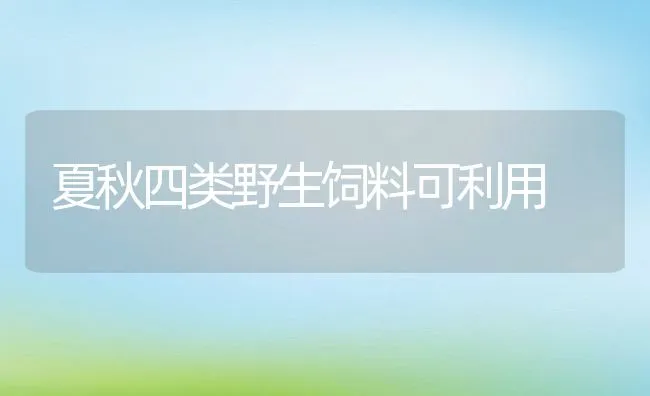 夏秋四类野生饲料可利用 | 动物养殖学堂