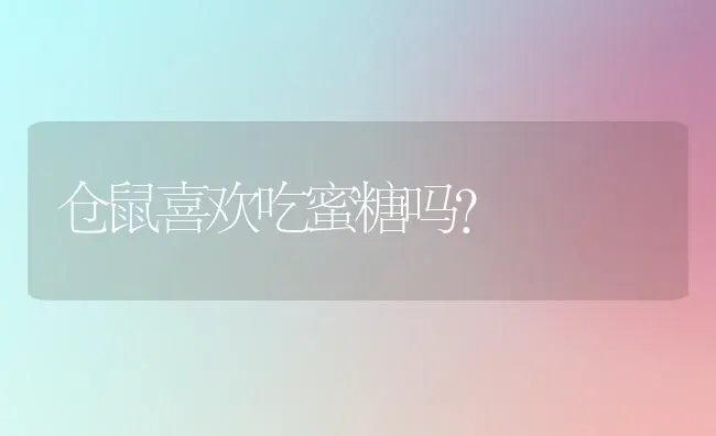 仓鼠喜欢吃蜜糖吗？ | 动物养殖问答