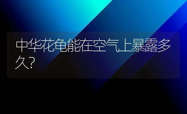 中华花龟能在空气上暴露多久？ | 动物养殖问答