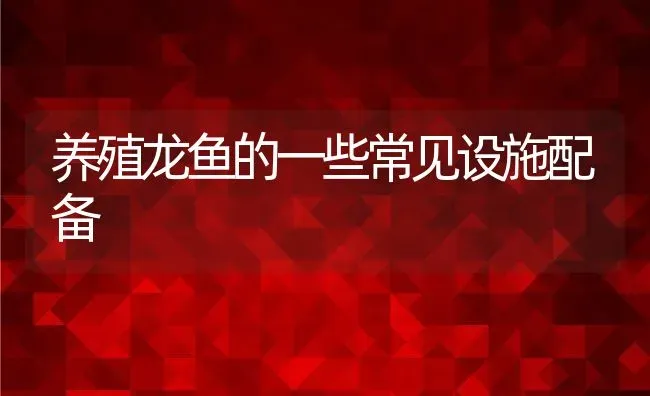 养殖龙鱼的一些常见设施配备 | 动物养殖教程