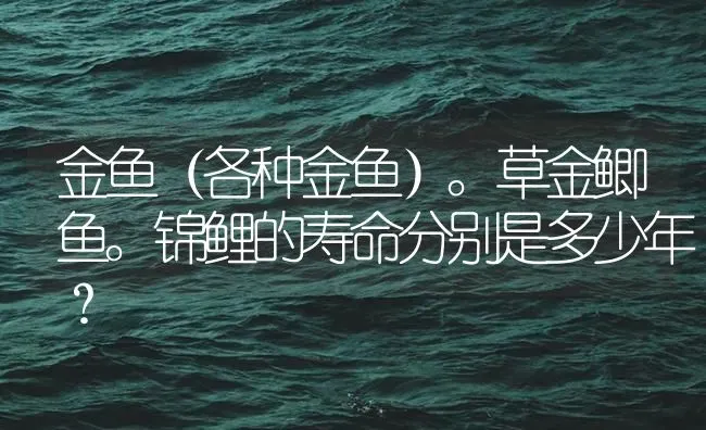 金鱼（各种金鱼）。草金鲫鱼。锦鲤的寿命分别是多少年？ | 鱼类宠物饲养