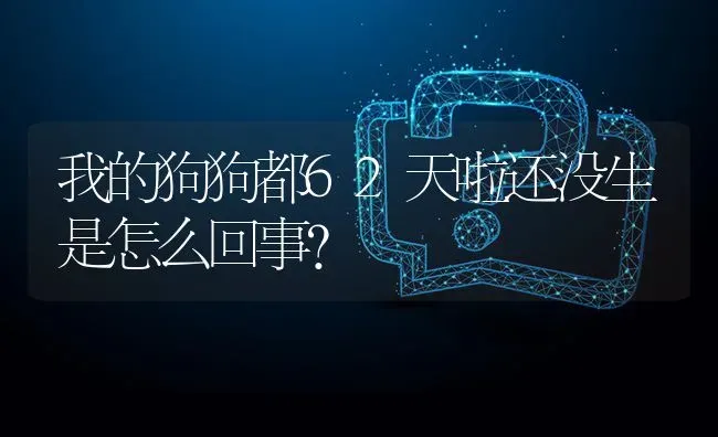 我的狗狗都62天啦还没生是怎么回事？ | 动物养殖问答