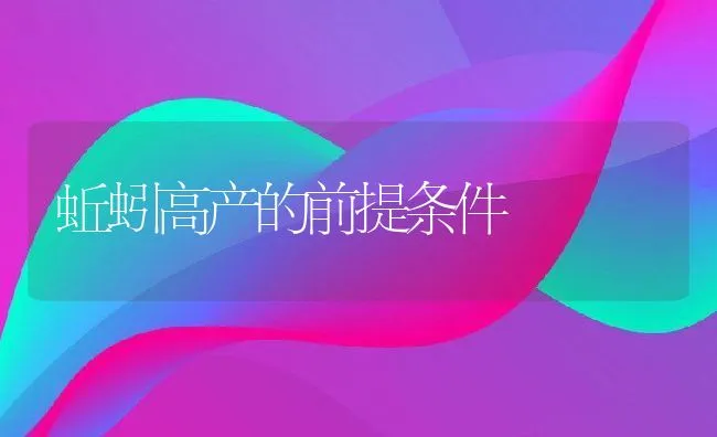 蚯蚓高产的前提条件 | 动物养殖学堂