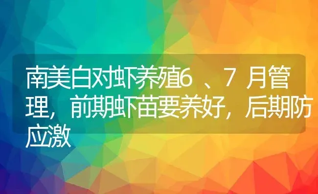 南美白对虾养殖6、7月管理，前期虾苗要养好，后期防应激 | 动物养殖百科