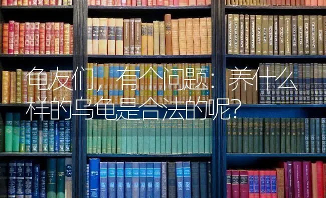 龟友们，有个问题：养什么样的乌龟是合法的呢？ | 动物养殖问答