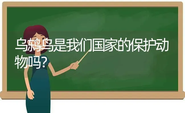 乌鸫鸟是我们国家的保护动物吗？ | 动物养殖问答