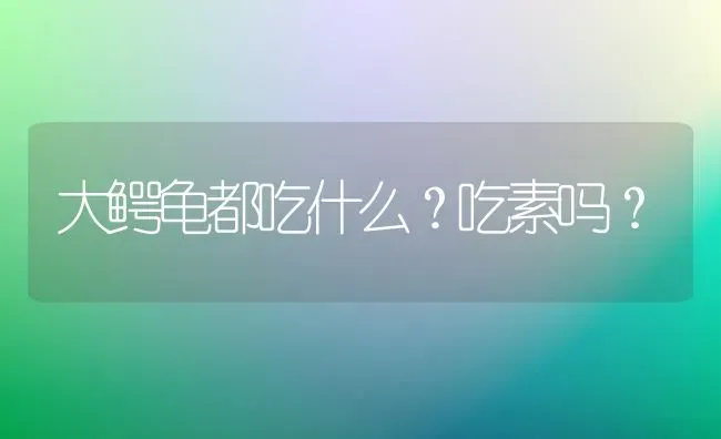 大鳄龟都吃什么？吃素吗？ | 动物养殖问答