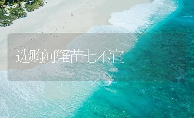 选购河蟹苗七不宜 | 海水养殖技术