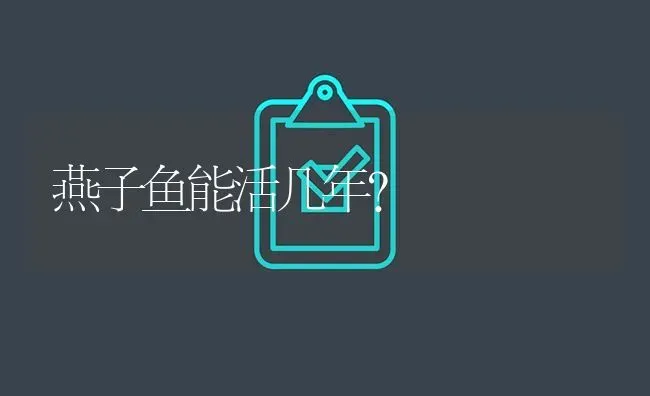 燕子鱼能活几年？ | 鱼类宠物饲养