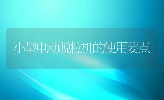 小型电动脱粒机的使用要点 | 动物养殖学堂