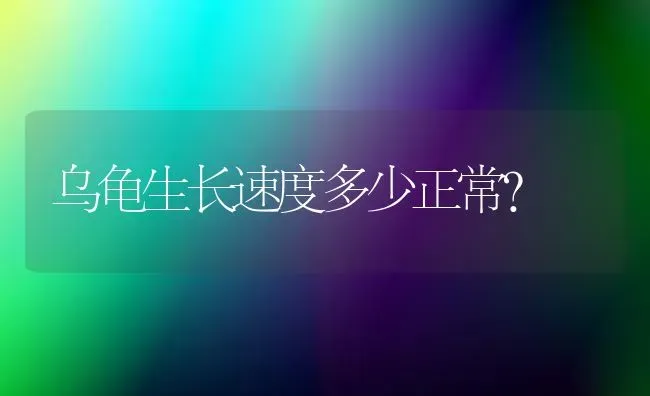 乌龟生长速度多少正常？ | 动物养殖问答