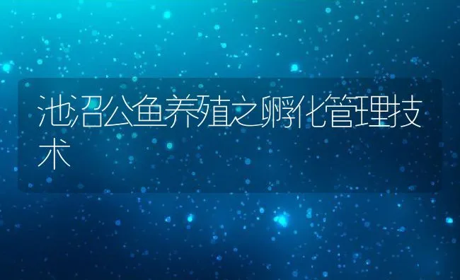 池沼公鱼养殖之孵化管理技术 | 动物养殖饲料