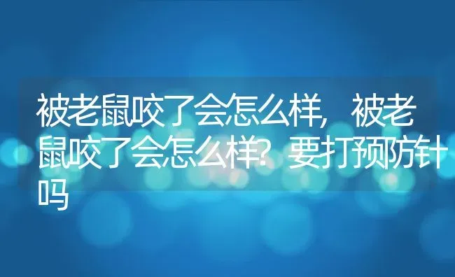 被老鼠咬了会怎么样,被老鼠咬了会怎么样?要打预防针吗 | 宠物百科知识