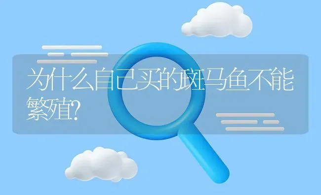 为什么自己买的斑马鱼不能繁殖？ | 鱼类宠物饲养