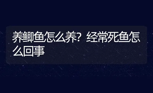 养鲫鱼怎么养？经常死鱼怎么回事 | 动物养殖教程