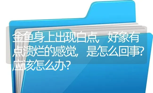 金鱼身上出现白点,好象有点溃烂的感觉,是怎么回事?应该怎么办？ | 鱼类宠物饲养