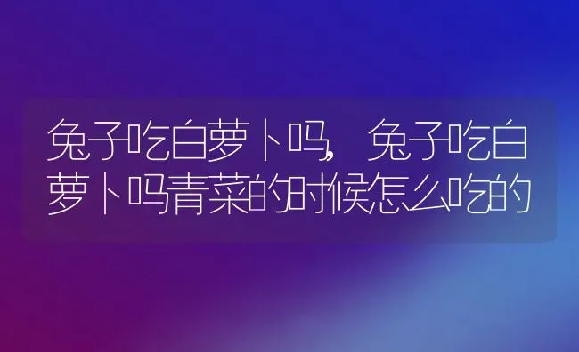 兔子吃白萝卜吗,兔子吃白萝卜吗青菜的时候怎么吃的 | 宠物百科知识