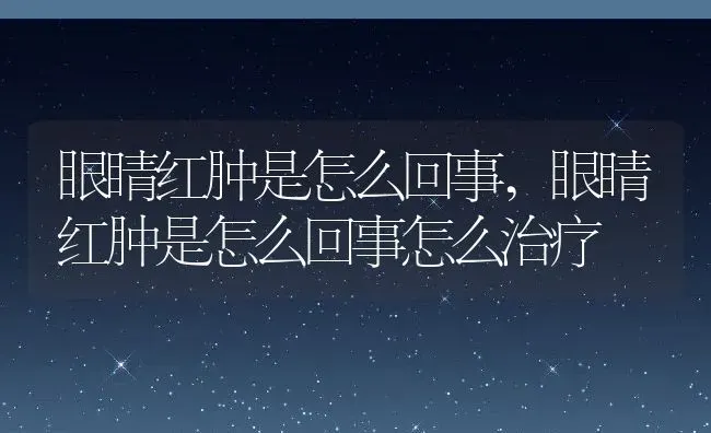 眼睛红肿是怎么回事,眼睛红肿是怎么回事怎么治疗 | 宠物百科知识