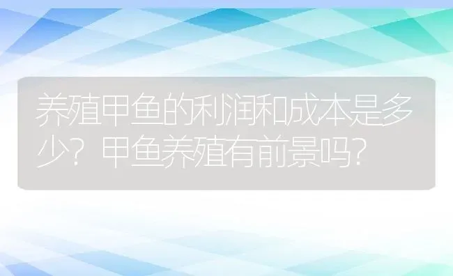 养殖甲鱼的利润和成本是多少？甲鱼养殖有前景吗？ | 动物养殖百科