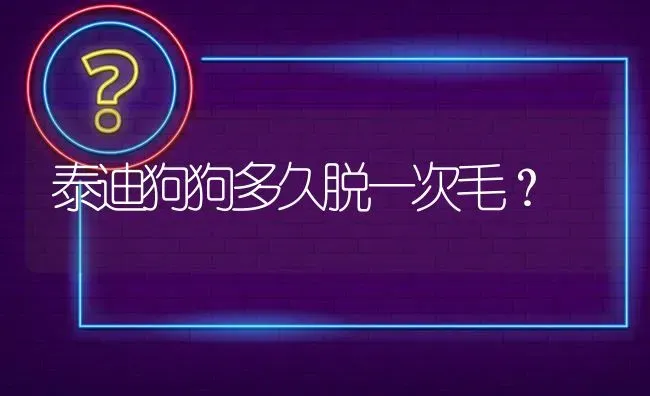 5 给金毛取名字，取什么最好叫又最好听呢？ | 动物养殖问答