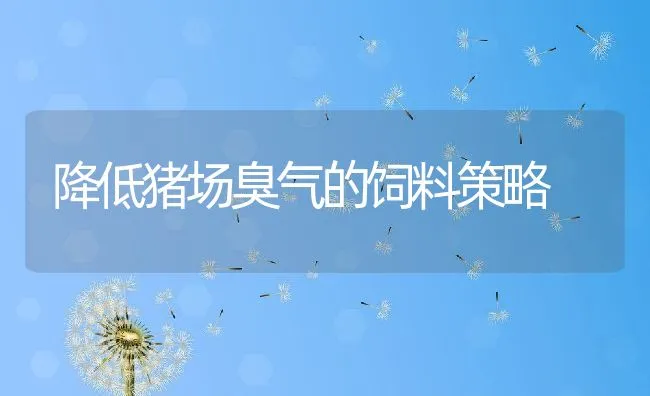 降低猪场臭气的饲料策略 | 动物养殖学堂